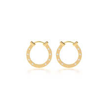 Fer a Cheval© Jaune Earrings - Danill Jewels