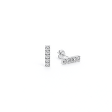 Mini Diamonds Earrings - Danill Jewels