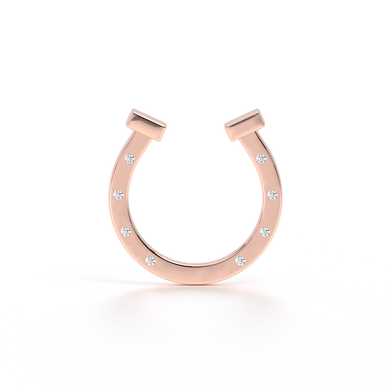 Fer a Cheval© Rose Ring - Danill Jewels